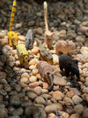 Coleção de 8 Bichos do Pantanal do Povo Terena