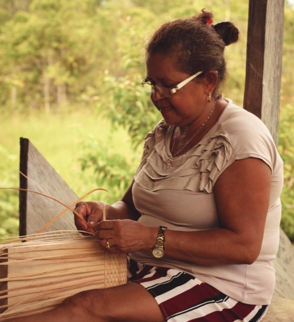 Conjunto de 2 Bolas de Natal Amazônicas